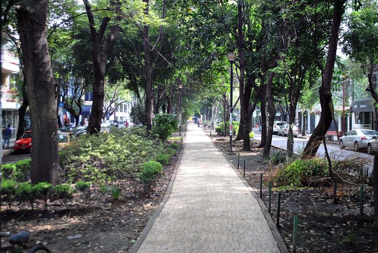 Tree-lined pedestrian median on Avenida Ámsterdam in La Condesa, Mexico City